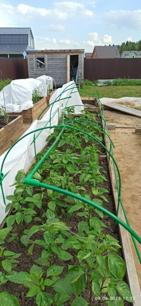 Как металлический каркас Polyagro преобразил мой огород за час