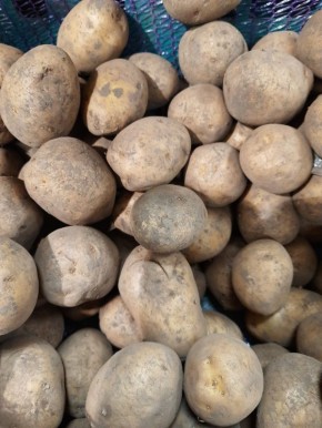 ������ ����� ��������� ������������ ���������� �������� � ��� ��� �����������?