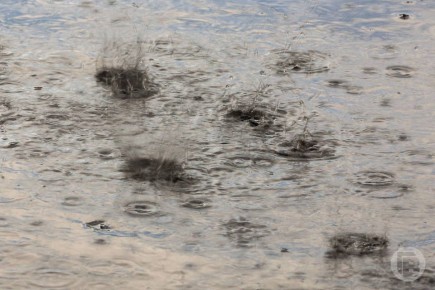 ������������� ���� �������� � ��������� ������ 18 �����