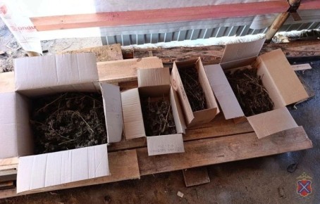 �� ���������� ������ ����������� ��������� �������������� � �������� �������������� ��������