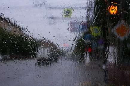 �������, 18 �����, ������ � ������������� ������� ����� ������������