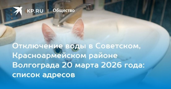 ���������� ���� 20 ����� ���� ������� ���� ������� ����������