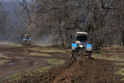 В Волгоградской области 20 марта официально стартовал пожароопасный сезон