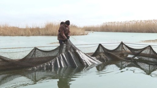 �� ��������� ����� � ������������ ������ ��������� ��������� �����������