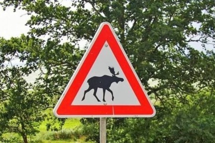 ����� ������� ��� ������ ������ �� ������ ��� �����������