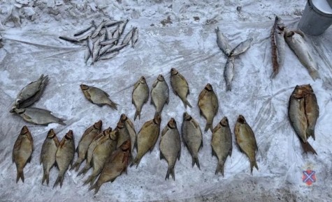 ������������ �������� �������� ������������� ����� � ������-��-���� ������������� �������, �������� �����-������ �� ��� ������ �� �������