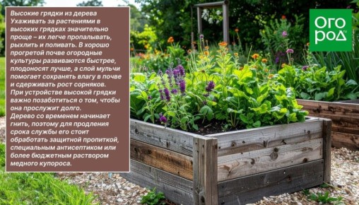 �������� ������������� �������: ��� �������� ���������������� � ��������