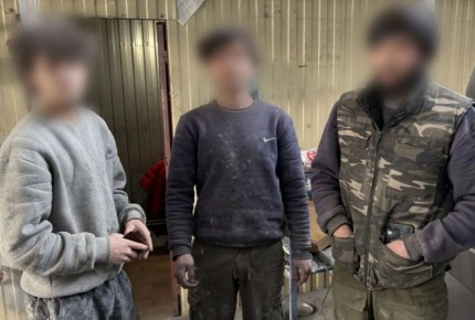 Облаву на нелегальных мигрантов устроили в четырех районах Волгограда