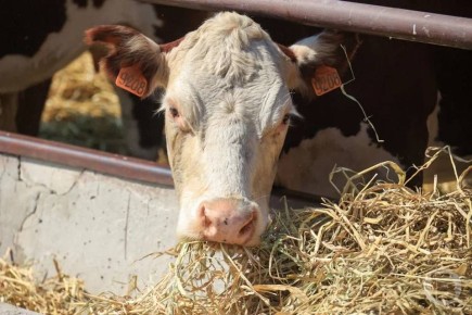 66 ���� �������� ������� ��������� �� ������������� ������� � ���������, �������� ����������������