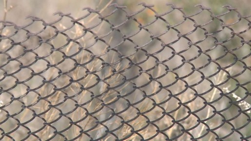 ���������� ���������� �������� ���������� � ���������� ������