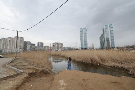 ���� ������-�������� � ���������� ������� �� ��� ������ �����