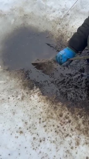 � ��������� ������� ������ �������� ����� ����������� ����� � ������