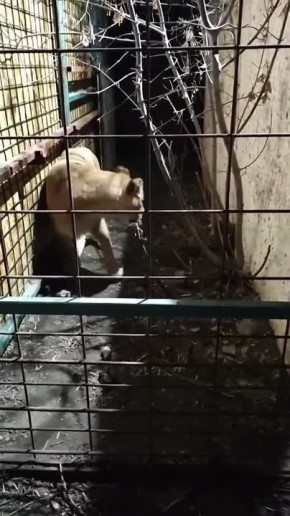 ���� ����� ��������� ����� �������������� ��������� �����