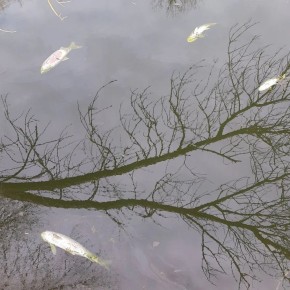 ����� ��� ������ ������: ������ ������� � ������������� ������� �������� �� ������������� ����������