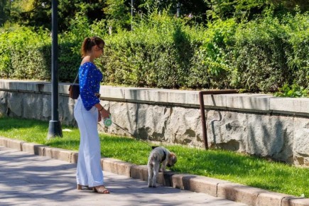 ����������� � ��������� ���� �� ��������