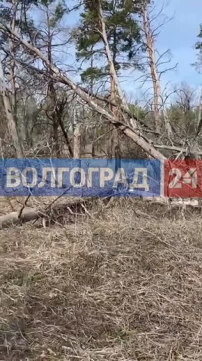 ������ ����������� �������� � �������� ������ �������� � ������� ����