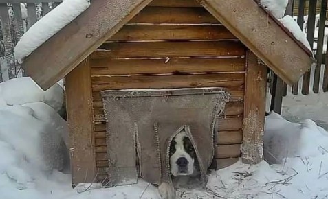 ������ ����� ��� ������: ��� ���������� ����� � ������