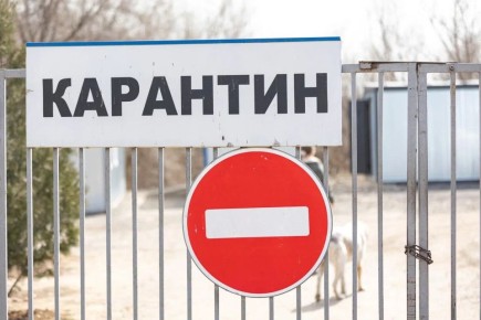С 26 марта в Волгоградской области действуют новые ограничения: в двух сельских поселениях введен карантин из-за опасных инфекций