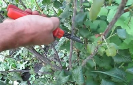 ����� � ����: ������� ������ ������� ��������� ��� �������� ������