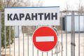 С 26 марта в Волгоградской области действуют новые ограничения: в двух сельских поселениях введен карантин из-за опасных инфекций