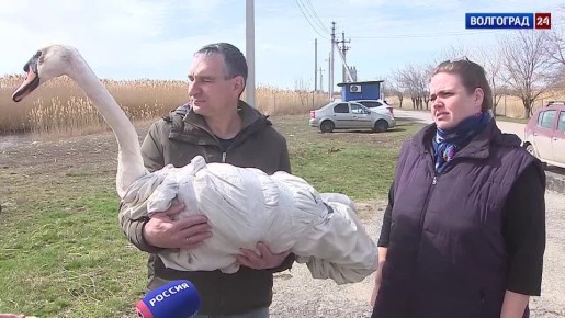 ���� ������� ��������� �� ���� ����� ���������� ������������ � ������������� �������