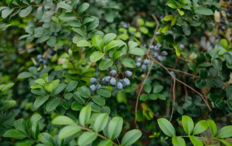 ��� ��������� ��������� �������� � �������: �������� ����� ���������