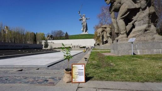 �������������� ������ ���� ����� �� ������� ������������� �������