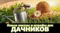 С 1 марта владельцам дач грозят штрафы до 700 тысяч рублей: что нужно знать