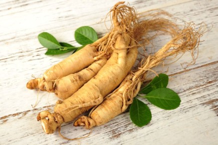 ��������: ��� ����� ����� � �������� ��������� � �����������������