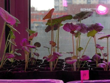 ����� ������: ��������� ������� �������� ���