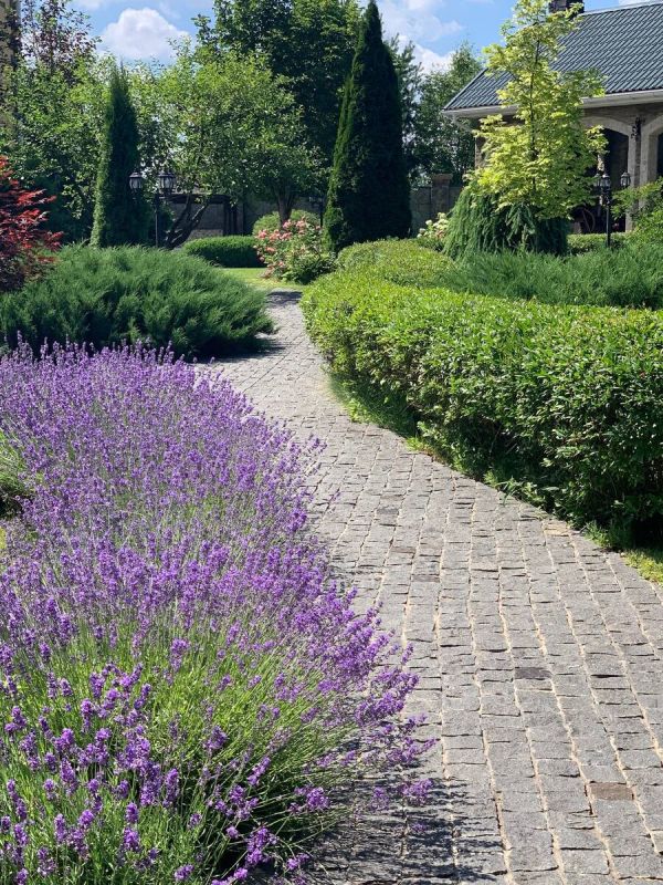 ��� ���������� ������ ���� � ������� � ������� �������