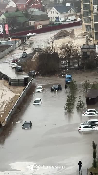 ����� � ���������� ����������� �� ����� ������, �������������� �������� ����� �� 20 �/�