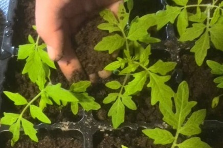 ��� ������� ��������� ������� ��� ������� ������� � �����