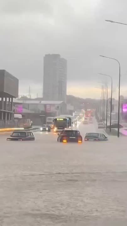 ��������� ����� ����� ����������� �����