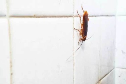 ��� ���������� � ���������� ���������: ������ � ������������