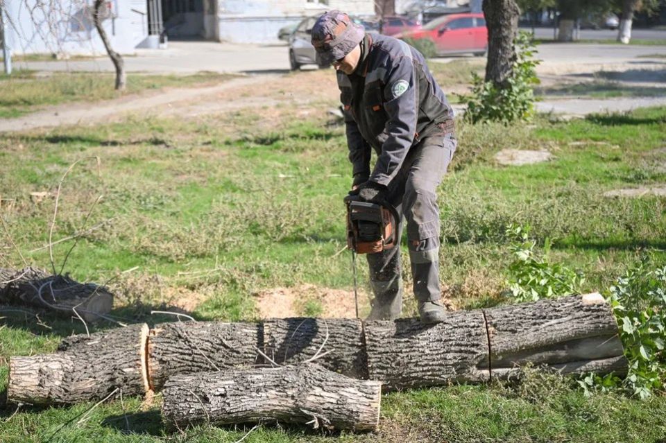 � ������� �� ����������� � ������������ ���� ����� ��������� ������������