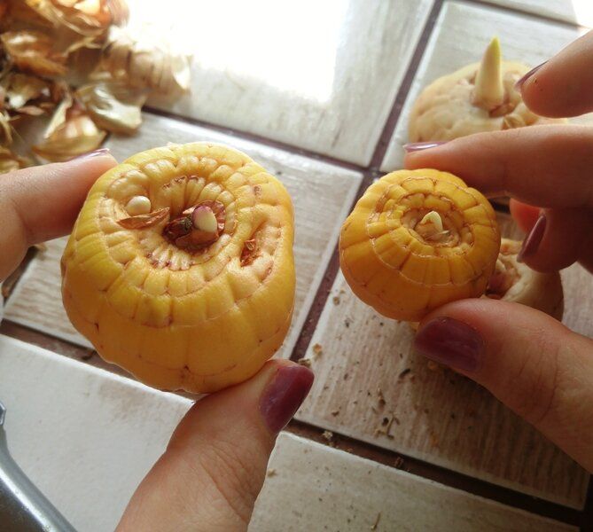 ��� ��������� ����������� ���������� � �������