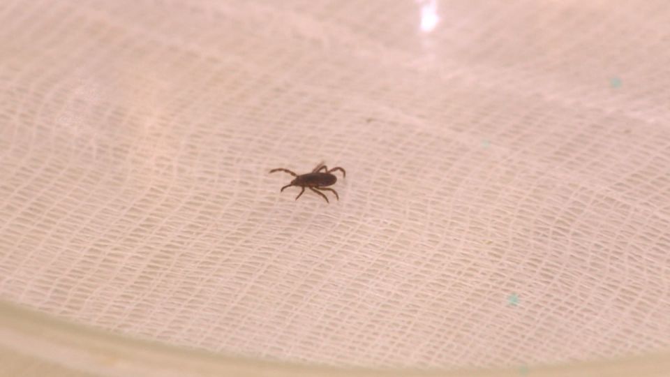 � ������������� ������� �������� ����� ���������� ������