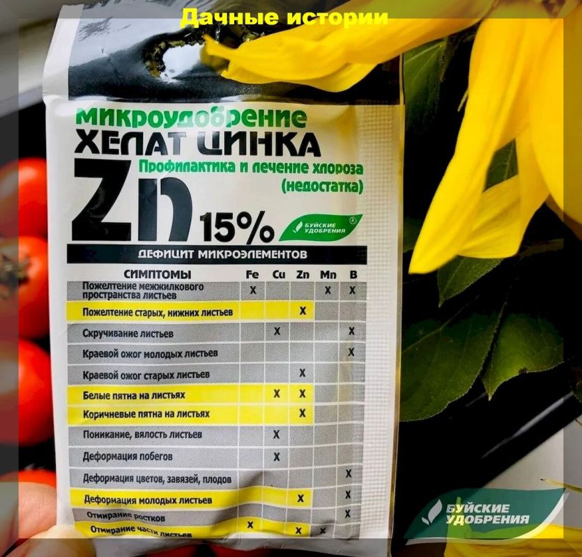 ���� ��� ������: ��� �������� ����������� � �������� ���� ������