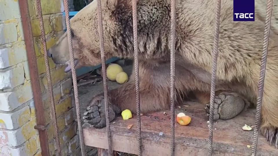 1 ��� ����������� ������� ���� �������������� ����� ��������