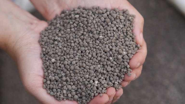 �����������: ��������� ���� ������ ������