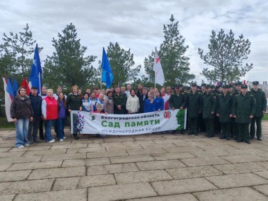 ���� ��������������� ������ ������ �������� � ��������