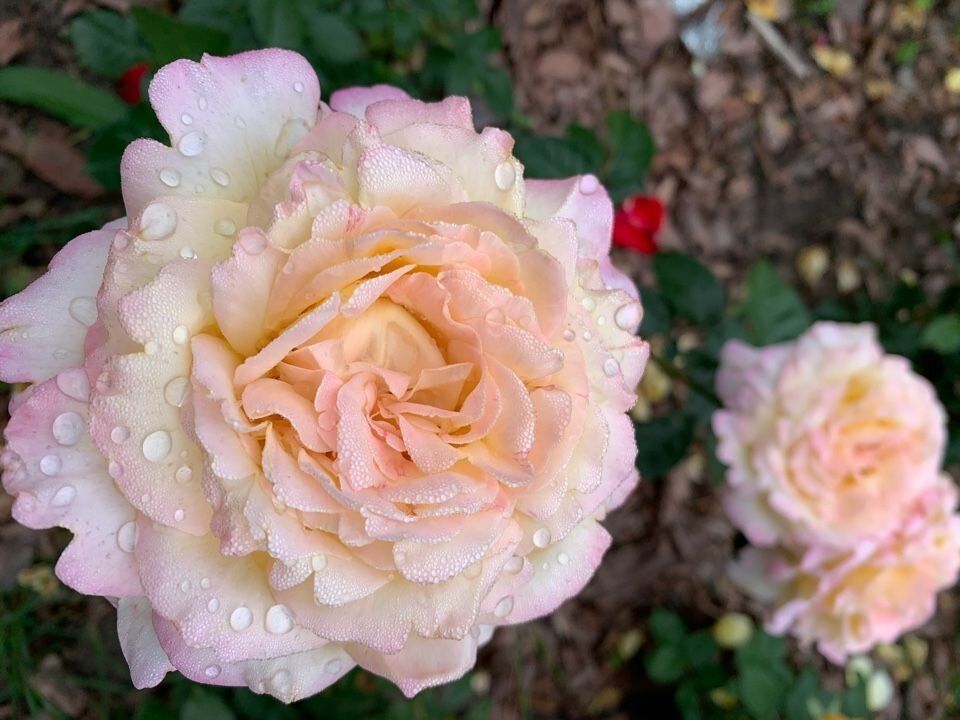 ��������� �����: �������� ����� ����� ��������� �� ����� ������� �������