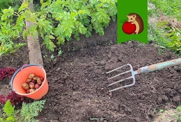 ��� �������� ��������� ������ ���������: ������ ������� �����������