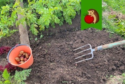 ��� �������� ��������� ������ ���������: ������ ������� �����������