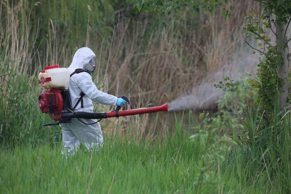 � ������������� ������� ������ �������� �������� ���������� ������ - ������ ����� ������������� ��� � �����, ���� ����������� ����� �������� � ������