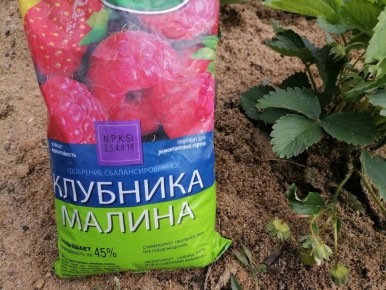 Как садоводы поддерживают урожай во время дождей