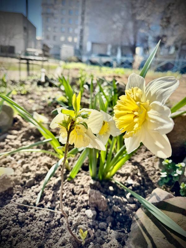 ��� ����� ��� �� ����������!