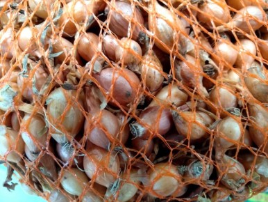 �������� �����: ������ ����� ����-����� ��� ������ ������� � 2025 ����