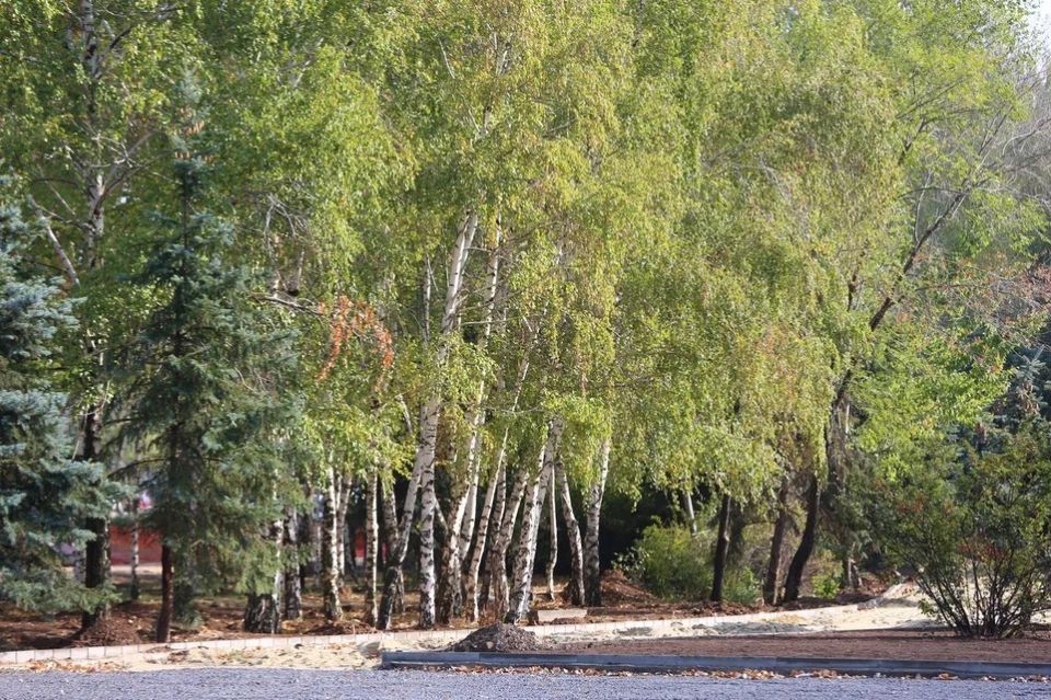 � 2025 ���� � ������������� �������, ������� ������ ���������-���������� � �������� ���� ����������� �� 0,7 % � ��������� 20088,8 ��